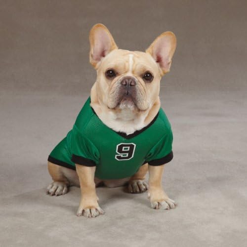 dog jerseys nba