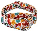 Country Brook Petz - 1 1/2 Inch Brisk Autumn Martingale Dog Collar - Large