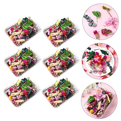 Set de flores secas para manualidades DIY 6 cajas miniatura 4