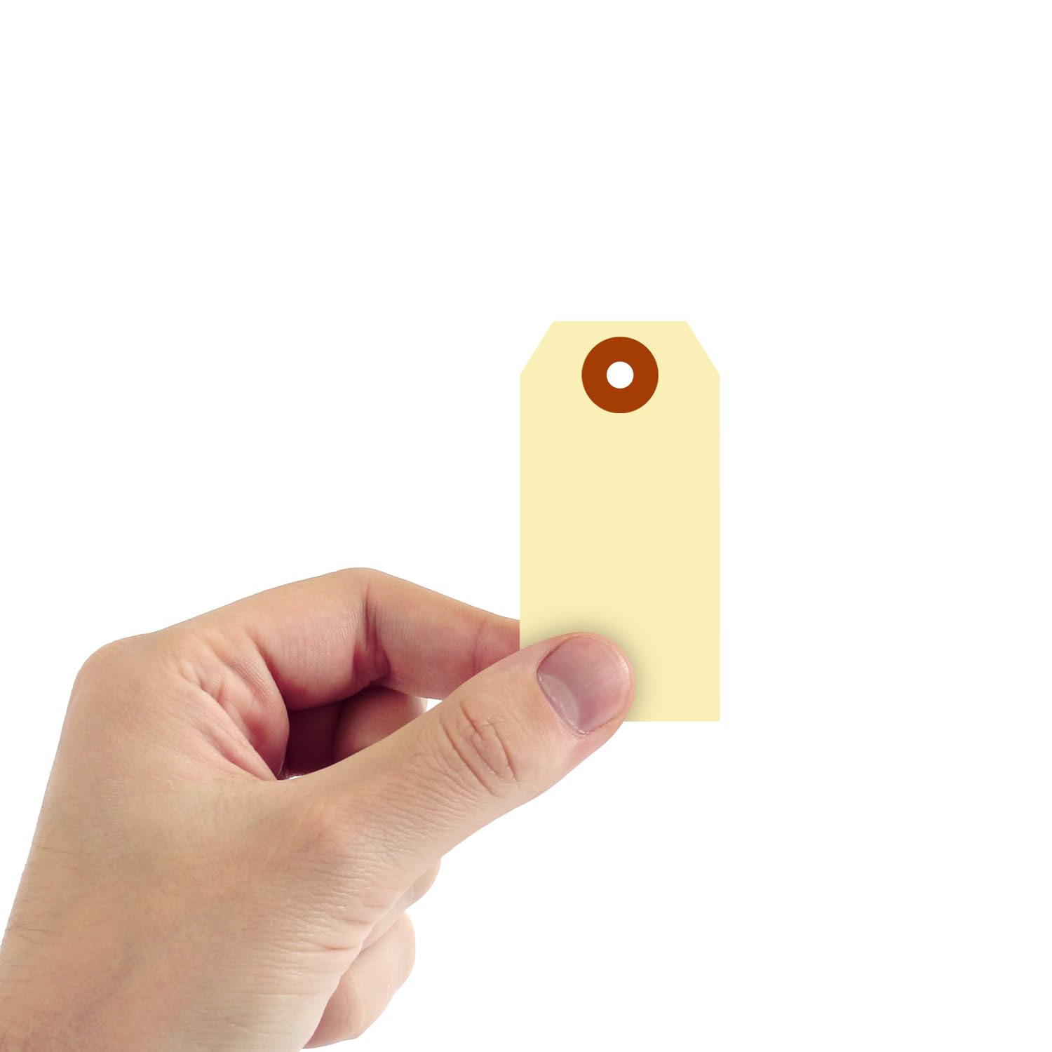 SmartSign Lot de 1000 étiquettes d'expédition Manille 8,3 x 4,1 cm avec patch en fibre, taille – 2, papier cartonné à 10 points, sans cordes