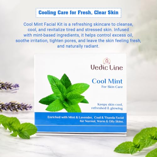 Image of Vedic Line Cool Mint Facial Kit, Helps To Reduce Tan & Dead Skin With Mint Oil, Lavender Oil, Shea Butter For Skin Brightening With Cooling Sensation, 400Ml