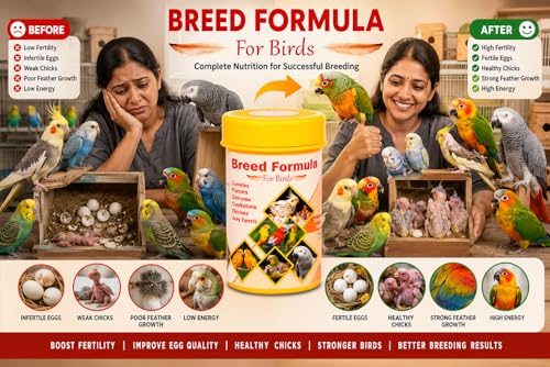 Image of Breeding Formula for Birds | Fertility & Egg Production Support Supplement | for Cockatiel, Budgies, Lovebirds, Conures, Finches, Canaries & African Grey (300 Grams)
