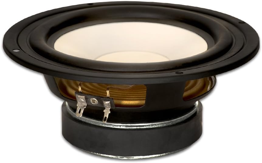 Goldwood Sound GW-6028 - Woofer de Goa de 6.5 Pulgadas, 170 W, 8 Oh Goldwood Sound GW-6028 - Woofer de Goa de 6.5 Pulgadas, 170 W, 8 Oh