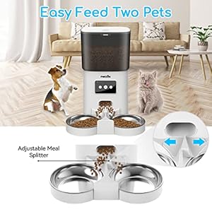   Automatic-WiFi-Cat-Feeders-for-Two-Cats-Double-Pet-Feeders-with-2-Stainless-Steel-Bowls-6L-Dry-Food-Dispenser-with-App-Control-for-Cat-Dog-10s-Meal-Call-and-Timer-Setting-Pet-Food-Dish