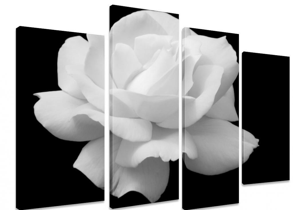 Floral Canvas Wall Art Print – Botanical Flower Artwork – Ready to Hang