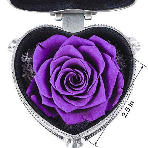 Gifts for Mom - Handmade Preserved Flower Rose, Unique Gift for Mother's Day, Thanksgiving Day, Christmas, Birthday, Valentine's Day, Anniversary (Silver & Purple)