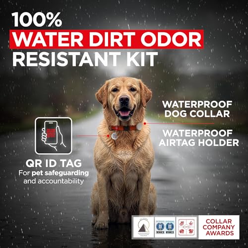 WAUDOG Halsband Hund Wasserfest Verstellbar für Große, Mittelgroße und Kleine Hunde - Welpen Halsband
