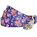 Blueberry Pet Durable Spring Scent Inspired Rose Print Irish Blue Dog Leash 5 ft x 5/8", Small, Leashes for Dogs