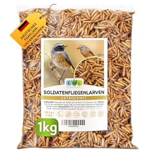 EWL Naturprodukte Soldatenfliegenlarven getrocknet, 1kg (6, 5 Liter) Soldatenfliegenlarven, Vogelfutter, Fischfutter, Schildkrötenfutter, Igelfutter mit Insekten