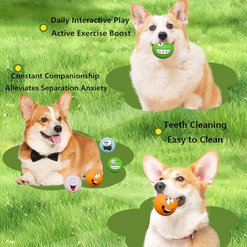 Pelotas mordibles de látex para perros 4 unidades miniatura 5