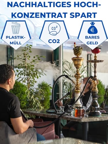 PandaCleaner Shisha Reiniger - 1L Wasserpfeifen Reinigungsmittel - Profi Spray zur Shisha-Reinigung - Bio Hookah Bowl Reiniger - Entfernt Ablagerungen & Verkrustungen (1000ml + Sprühkopf)