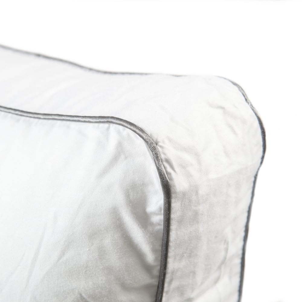 Bleu Calin Lot de 2 Oreillers Souple à Ferme 65x65cm Sensation Duvet
