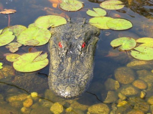 TJB-INC 22" Alligator Head Decoy & Pond Float with Reflective Eyes for Canada Geese & Blue Heron Control