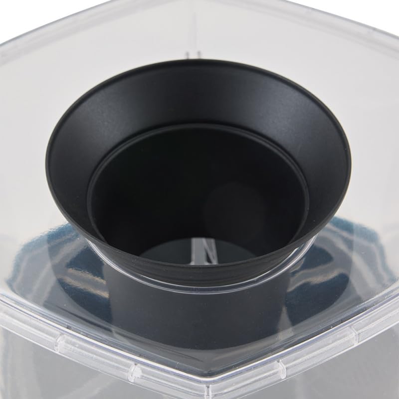 Master Trap by FAVEX - Lot de 2 pièges Anti Pontes Hexacatch - Anti-Moustique - Limite la Reproduction des Moustiques Tigre et Commun - sans électricité