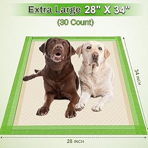 Pee pads for dogs extra large 28x34 xl thicker eco green disposable xlarge puppy training pads super absorbent full edge wrapping pad for dogs puppies doggie cats rabbits 30 count   cucciolini doodles