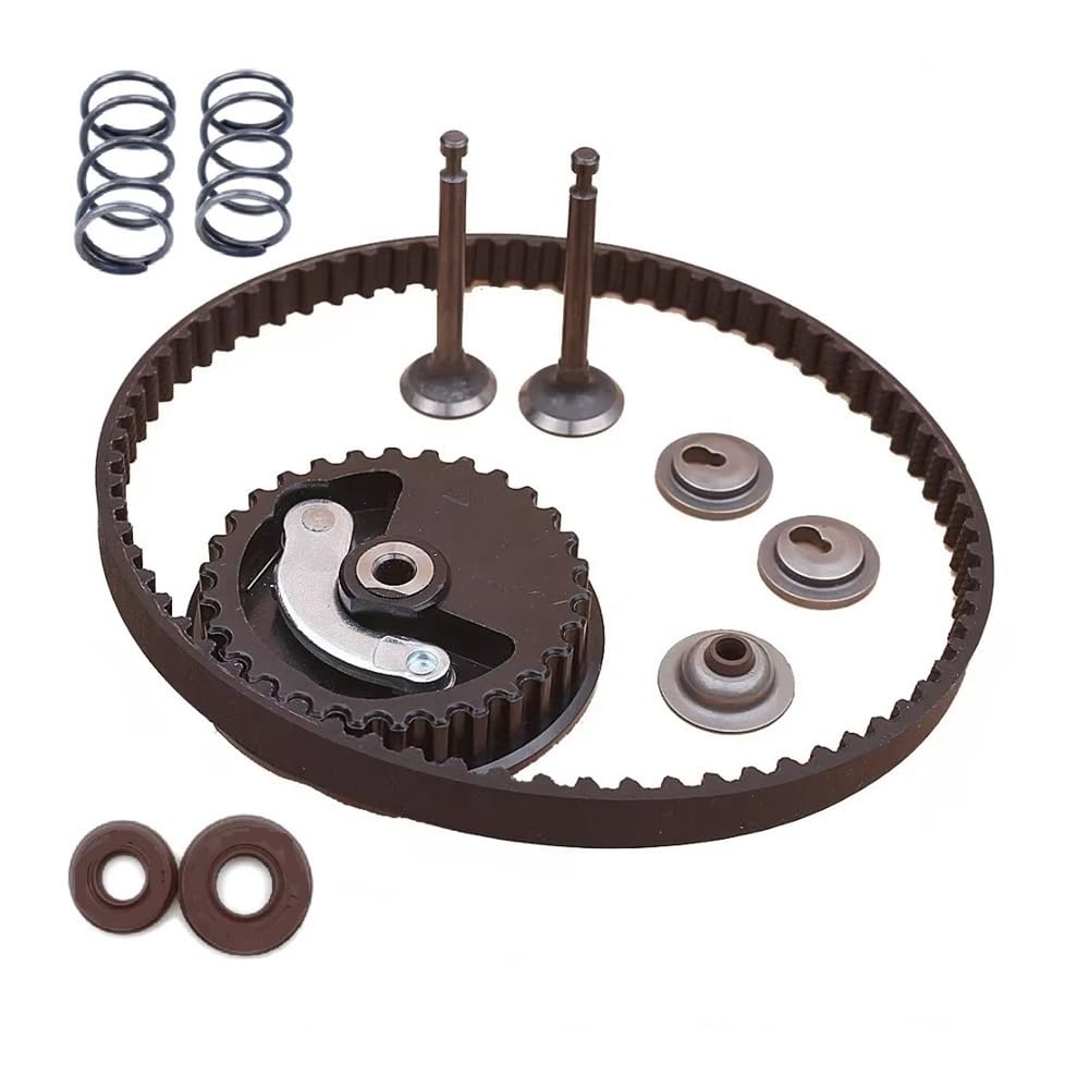 Kit de Joint d'huile de Tige de retenue de Ressort de soupape d'échappement et de Courroie de Distribution de poulie d'arbre à cames adapté for Hna GX25 HHT25S 4 Temps(2 Sets)