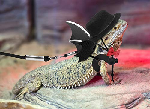 Vavopaw bearded dragon lizard leash harness (s/m/l 3 pack), adjustable leash bat wings costume accessories with hat & bow tie collar for lizard reptile, gecko, iguanas, amphibians & small animals 9 Vavopaw bearded dragon lizard leash harness (s/m/l 3 pack), adjustable leash bat wings costume accessories with hat & bow tie collar for lizard reptile, gecko, iguanas, amphibians & small animals - image 10