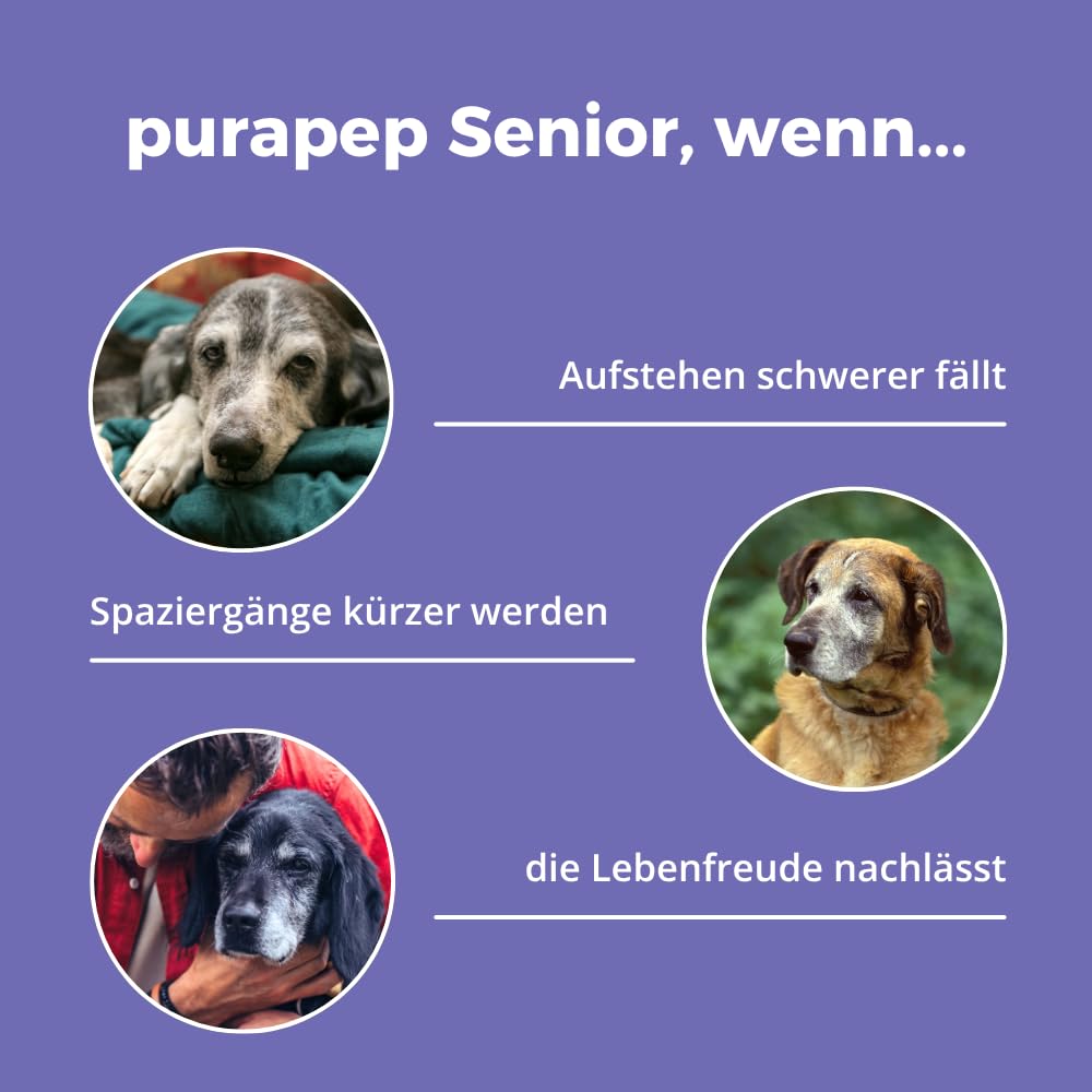Senior Power – 5-Fach Nährstoffkomplex mit Molkenprotein, Omega-3, Taurin & Vitaminen für Hunde & Katzen Senioren – Muskelaufbau & Fitness-Booster im Alter – Pulver | 280g