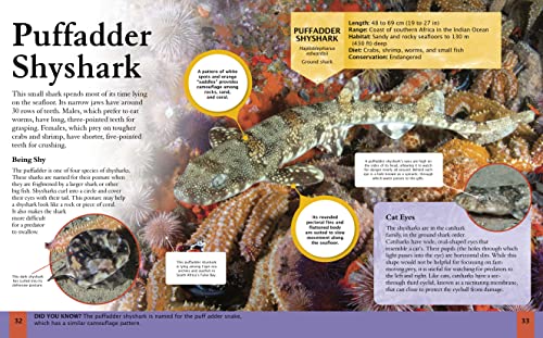 Children's Encyclopedia of Sharks 3 51HGN75hiqL