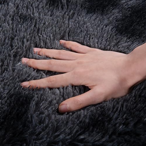 Rugs for Bedroom 4x6, Soft Shaggy Modern Shag Area Rug for Living Room, Upgrade Non-Slip Plush Fluffy Carpet for Kids Boys Girls Room Home Decor Aesthetic, Dark Grey