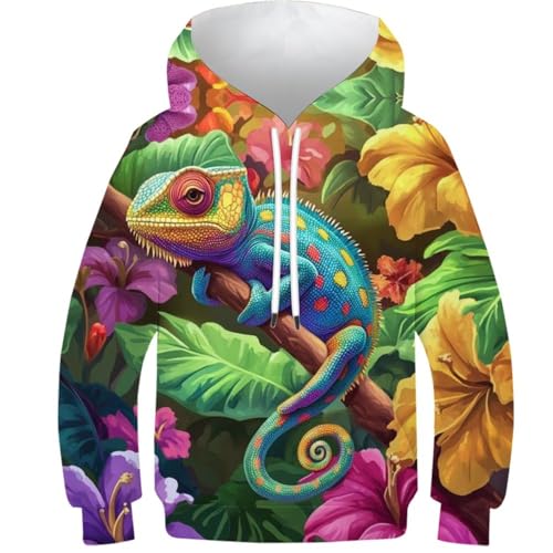 Sweat à capuche pour garçons caméléon pull en polaire imprimé 3D 10-12Y