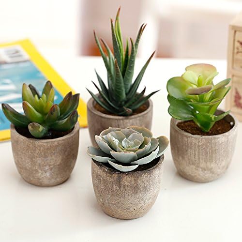 MyGift Faux Succulent Plants, Assorted Decorative Artificial Succulent Plants with