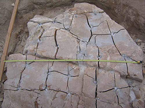 Dexpan Expansive Demolition Grout 11 Lb. Bucket for Rock Breaking, Concrete Cutting, Excavating. Alternative to Demolition Jack Hammer Breaker, Jackhammer, Concrete Saw, Rock Drill (Type 2, 50-77° F) - Thumbnail 4