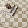Amazon.com: Revival Rugs Gambit 7'10