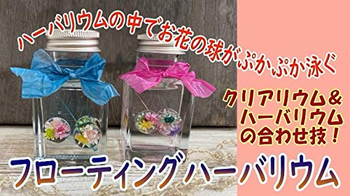 Amazon.co.jp: 固まるハーバリウム そらプリ クリアリウム