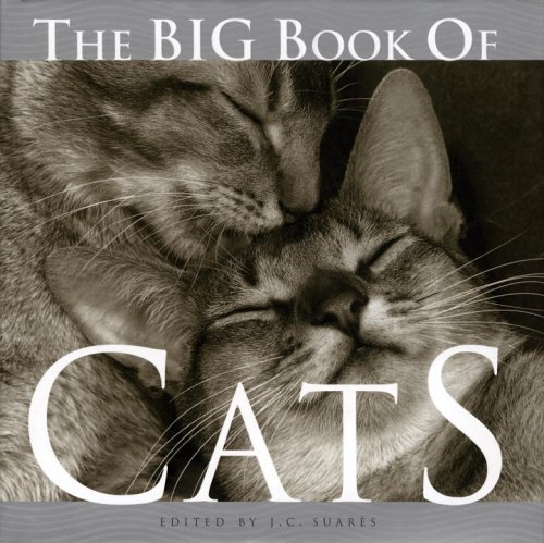 The Big Book of Cats      Hardcover – May 1, 2004