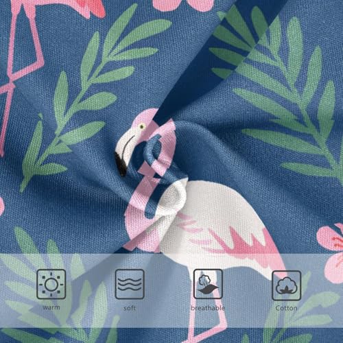 Briefs Panties Organic Underpants for Toddler Girls in Sizes 2T,3T, 4T, 5T, 6Y and 8Y3