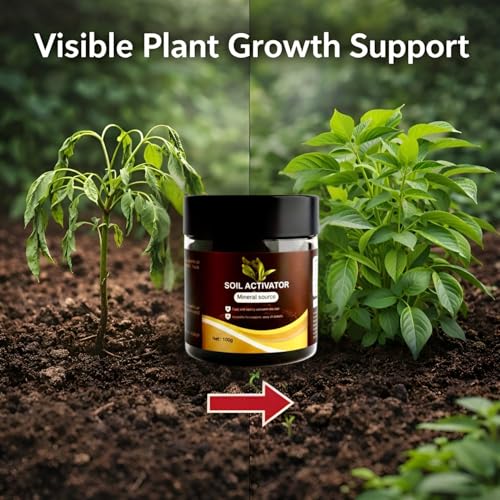 Image of Soil Activated Treasure Plant Growth Booster | Improves Soil Quality & Root Support | Suitable for Indoor & Outdoor Plants | for Pots, Gardens & Home Plants | Easy to Use 100g (Pack of 3)