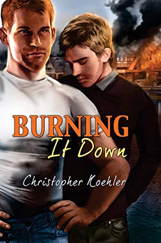 Burning It Down view 2