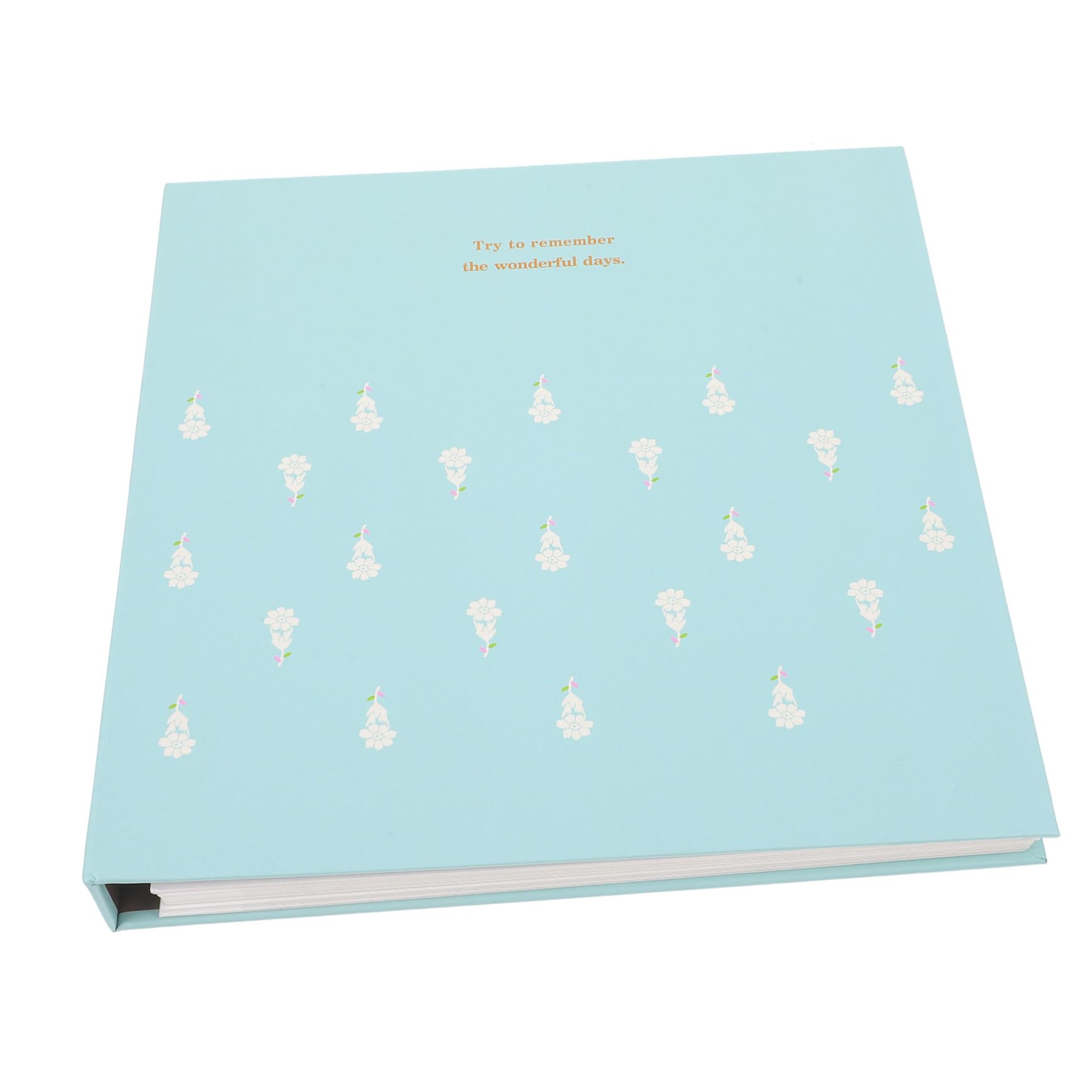 Sewroro Album à Feuilles Mobiles pour Fleurs Pressées, Papier Vert Clair