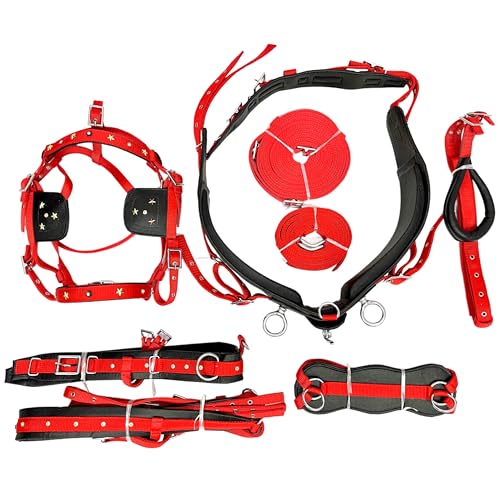 Kayfcrafts Red and Black Nylon Horse Driving Harness with Star Studs and Sparkling Stones Complete Single Horse Driving Set with Padded Comfort and Chrome Fittings (Cob)