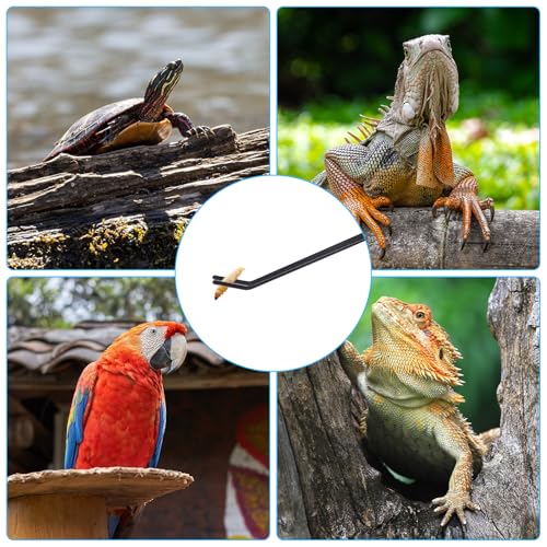 Lnngub 2 Stück Aquarium Pinzette Set, 25cm Gerade Pinzette und 27cm Gebogene Pinzette Set Lange Reptilien Futterpinzette aus Edelstahl Schützende Finger Pinzette für Reptilien, Wasserpflanze (Schwarz)