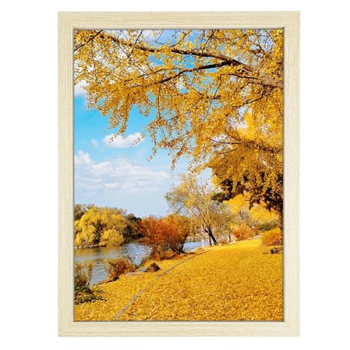 Diompirux A3 legno massiccio Cornice (29.7x42cm), Portafoto Montaggio Verticale o Orizzontale, Cornice portafoto in legno con Vetro acrilico e Ganci, Cornici Foto per Soggiorno Camera da Letto