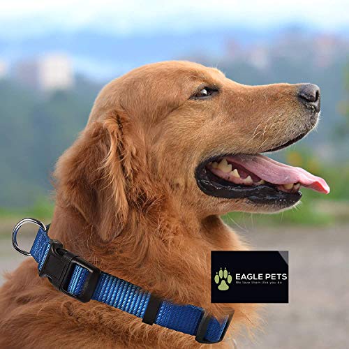 Image of Dog Collar and Leash Set, Adjustable Nylon Collar with Leash for Small Medium and Large Dogs, Quick Release and Breathable Collar for Puppies (Small, Blue)