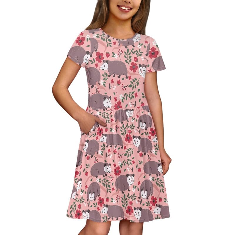 Girls' Crew Neck Cut-in A-Line Dress, Kids Short Sleeves Wedding Swing Dress, Summer School Dress with Pockets