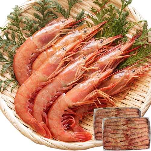 LA[`Ԃ (1/2s) (20-40) L1TCY hgp Hp hg }ⓀyɓƁz (2/4kg)