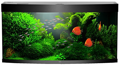 JUWEL Aquarium 49260 NovoLux LED 60 Bianco