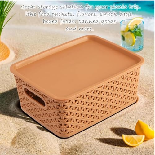Image of BENAVJI Multipurpose Solitaire Storage Basket with Lid Strong Plastic Material & Side Grip Size Small 25 x 19 x 10.5 Multipurpose Pack of 3 Multicolor