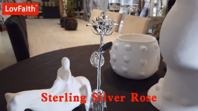 Amazon.com: LovFaith Valentine Gift Real Rose Dipped Thick