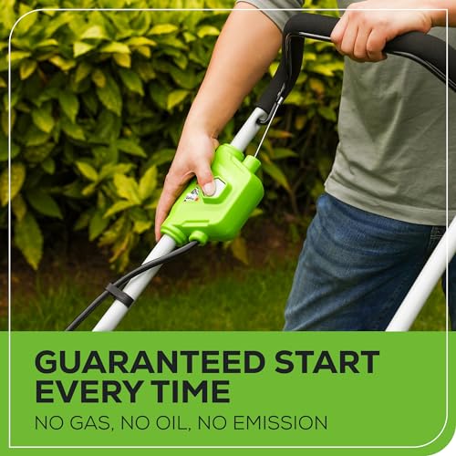 image for Greenworks 40V 17