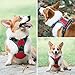 PHOEPET 2019 Reflective Dog Harness Large Breed Adjustable No Pull Vest with with Handle 2 Metal Rings 3 Buckles [Easy to Put on & Take Off](L, Red)