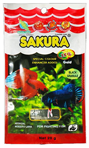 sakura betta food