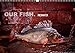 Produktbild OUR FISH. FRESHWATER. (Wall Calendar 2021 DIN A3 Landscape)