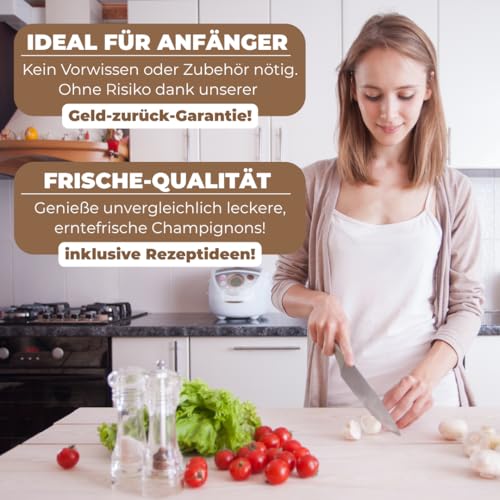 Foto von Hawlik Pilzbrut Champignons selber züchten – Steinchampignon Pilzzuchtset – Pilze kinderleicht zuhause anbauen – Kleines Komplettset für Anfänger/als Geschenk für Kinder und Gartenfreunde