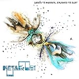 05. Gases to Masses Crushed to Dust (Part C. Ferrous Death)