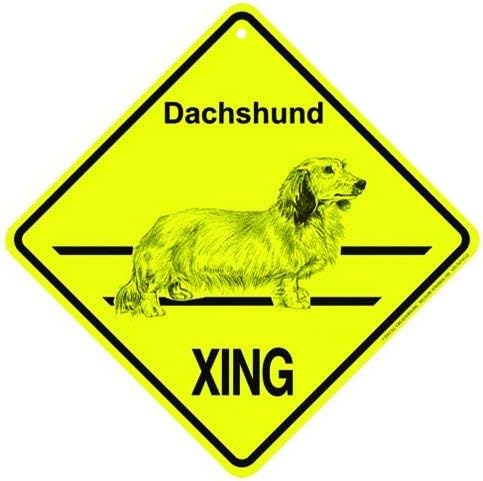 New Metal Tin Sign Dachshund Long haired Xing Caution Crossing Sign Dog Gift for Indoor Outdoor Wall Decor 8x8 Square Sign